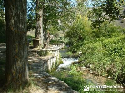 Monumento Natural de la Sierra de la Pela y Laguna de Somolinos; ruta pedriza; yelmo pedriza